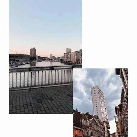 The View In